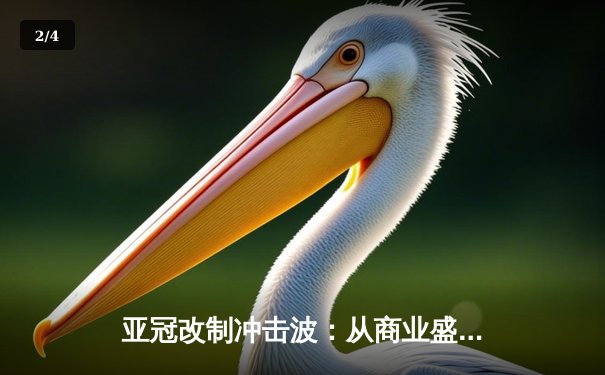 亚冠改制冲击波：从商业盛宴到足球本源的战略博弈 - 2