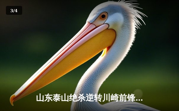 山东泰山绝杀逆转川崎前锋，总比分6-5挺进亚冠八强 - 3