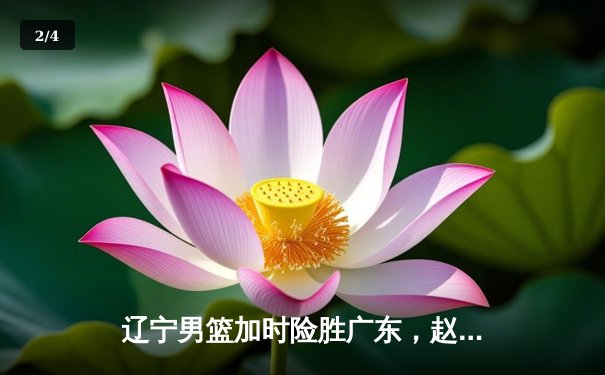辽宁男篮加时险胜广东，赵继伟35分导演惊天逆转 - 2
