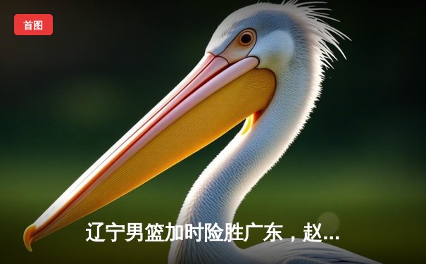 辽宁男篮加时险胜广东，赵继伟35分导演惊天逆转